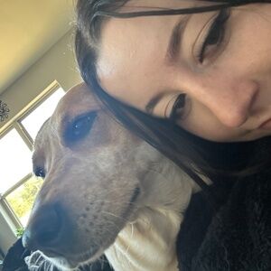 Meet your Posher, Allie